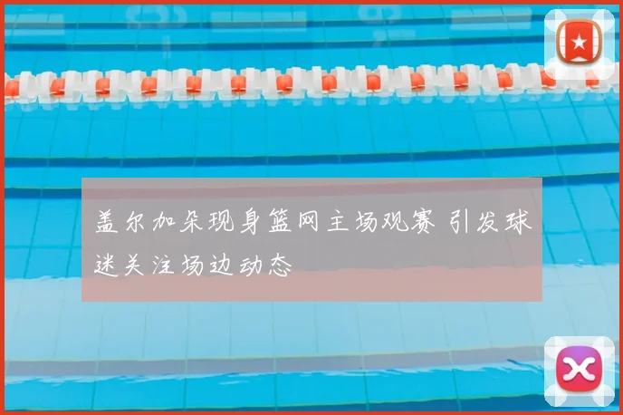 盖尔加朵现身篮网主场观赛 引发球迷关注场边动态