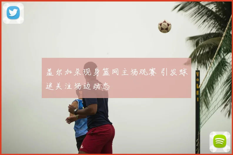 盖尔加朵现身篮网主场观赛 引发球迷关注场边动态