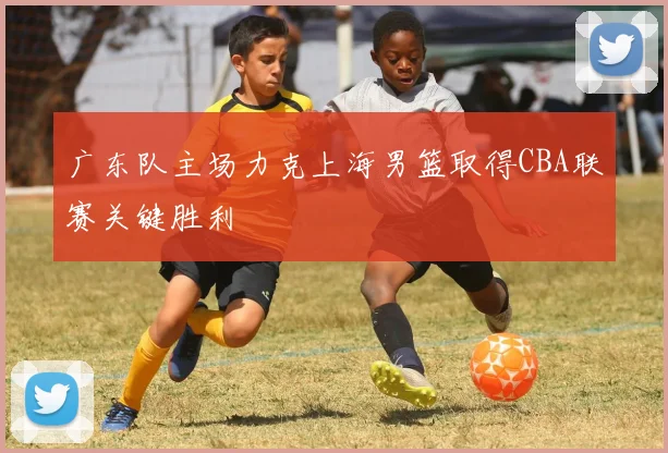 广东队主场力克上海男篮取得CBA联赛关键胜利