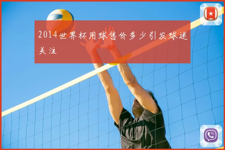 2014世界杯用球售价多少引发球迷关注