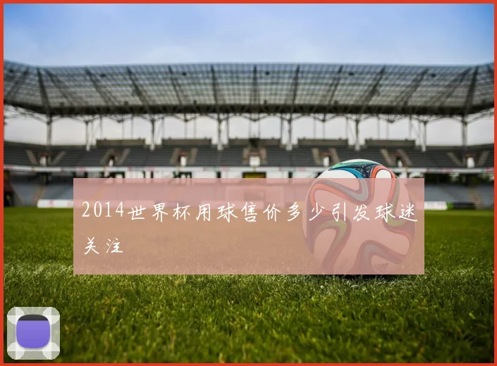 2014世界杯用球售价多少引发球迷关注