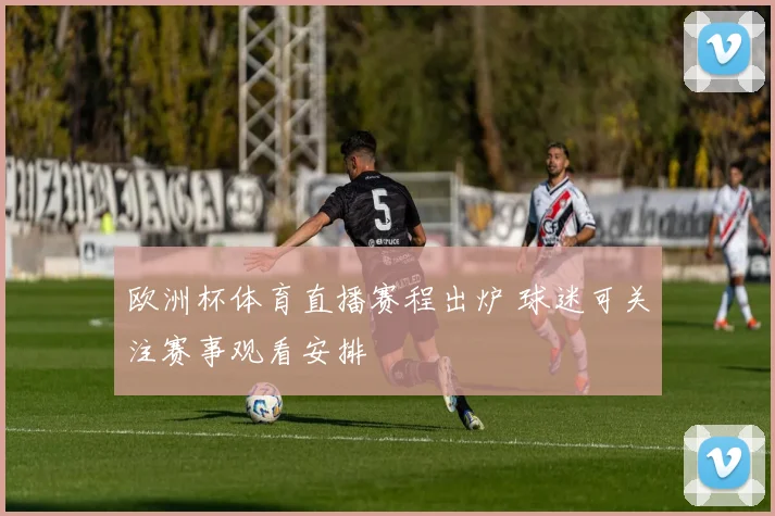 欧洲杯体育直播赛程出炉 球迷可关注赛事观看安排